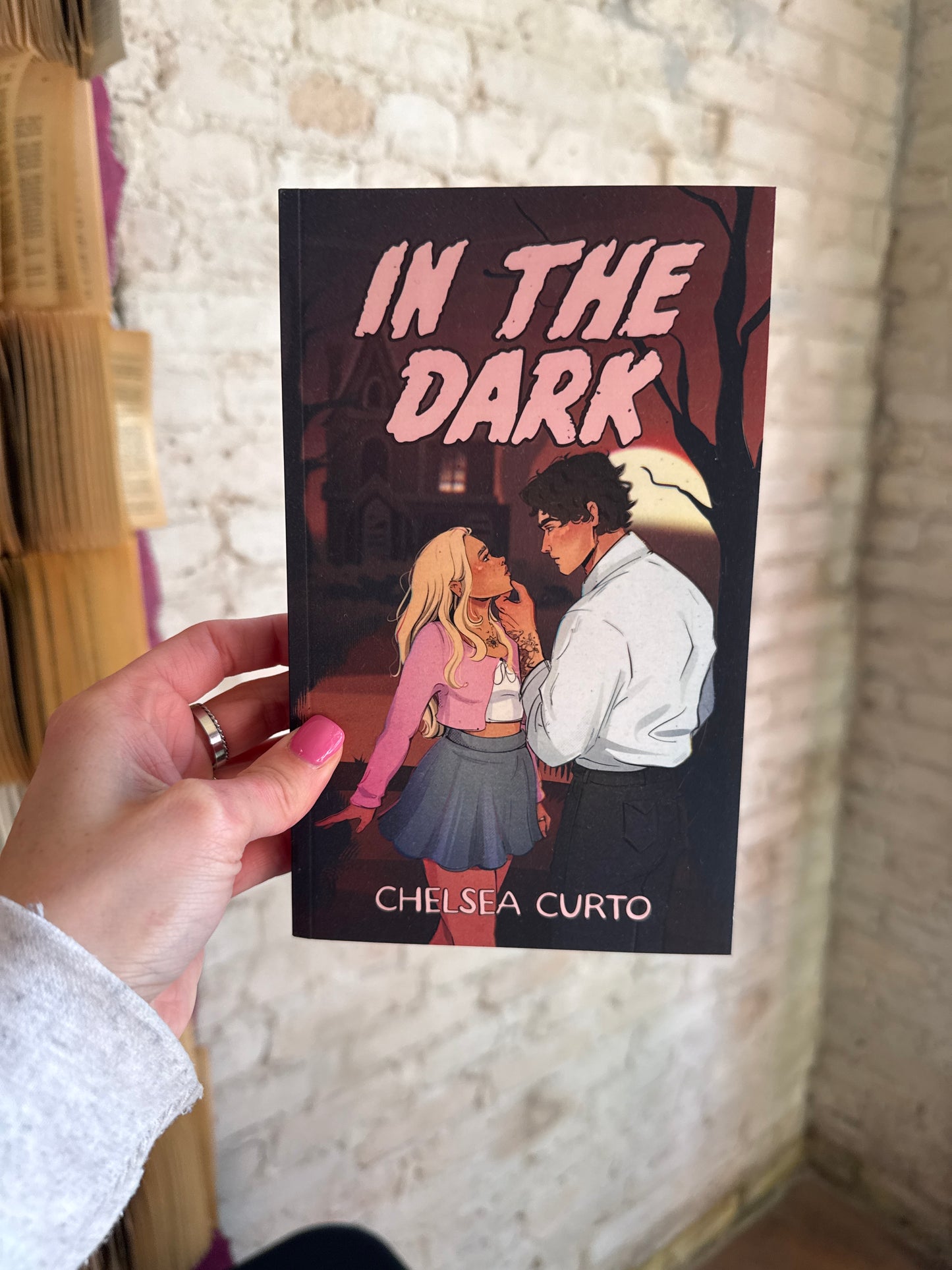 Into The Dark by Chelsea Curto illustrated cover *SIGNED*￼