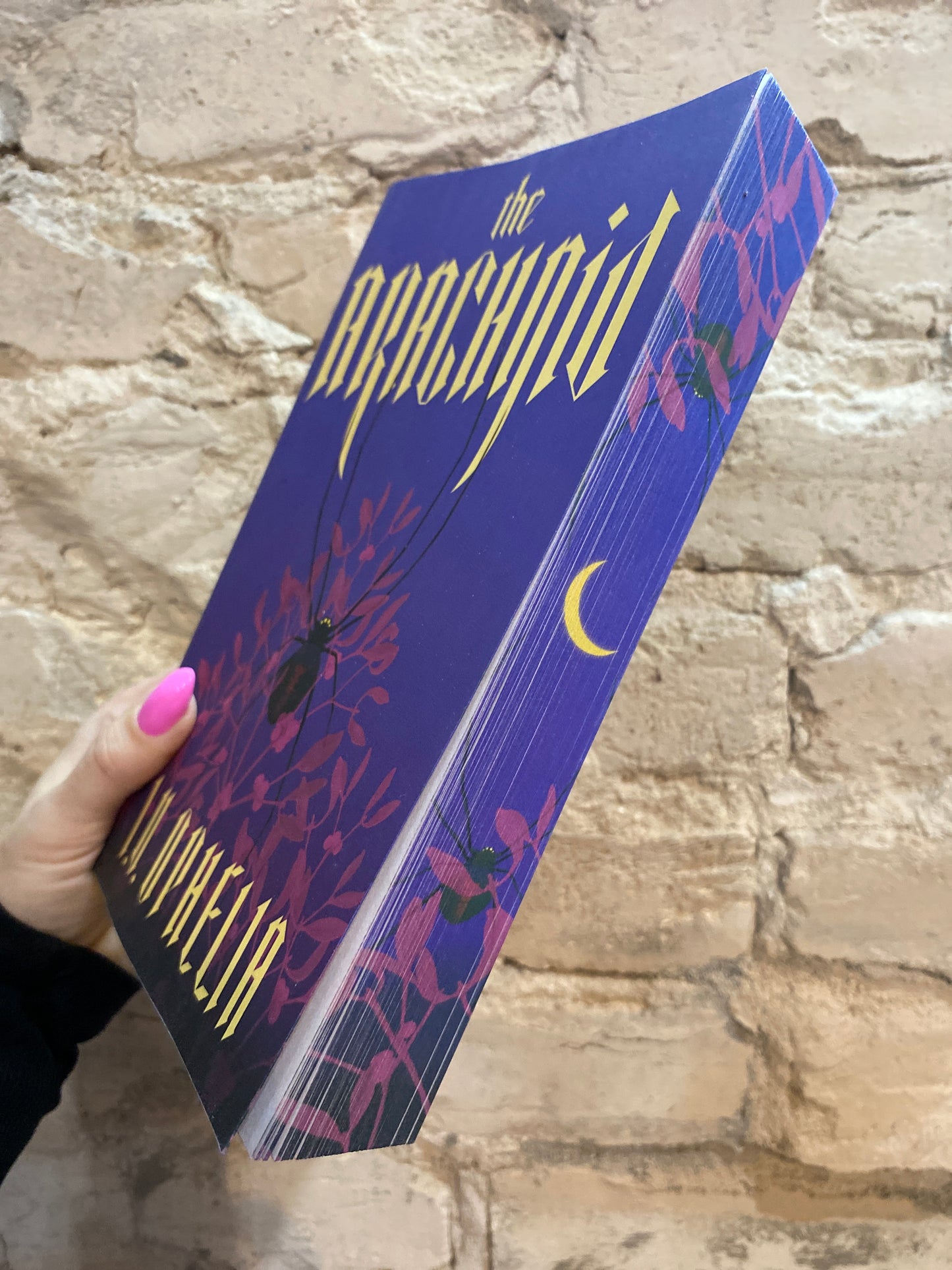The Arachnid by I.V. Ophelia (Deluxe Edition) (Book 2)
