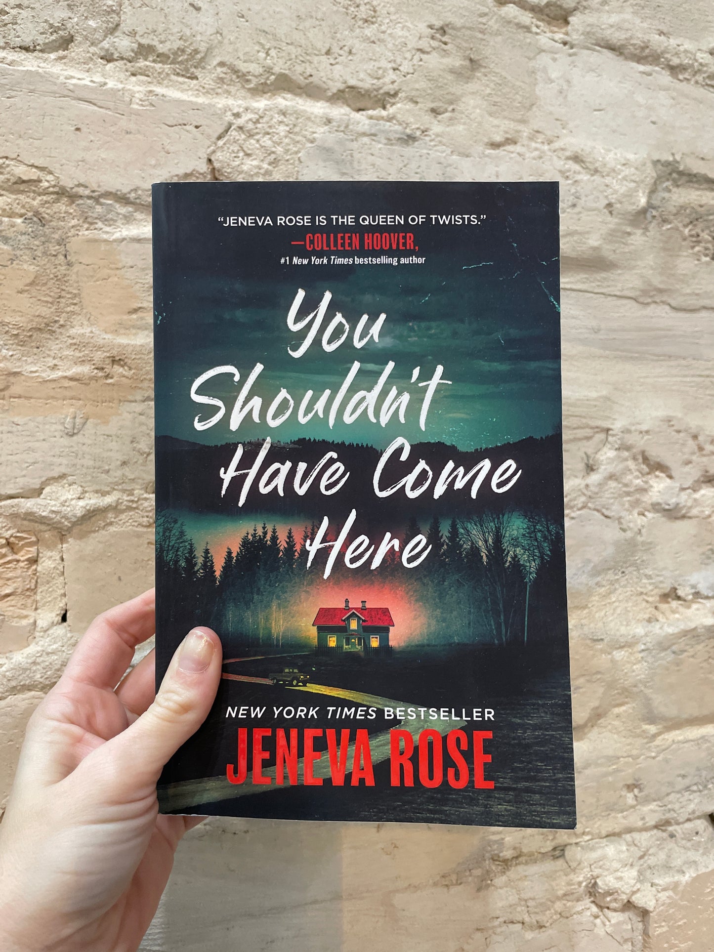 You Shouldn't Have Come Here by Jeneva Rose