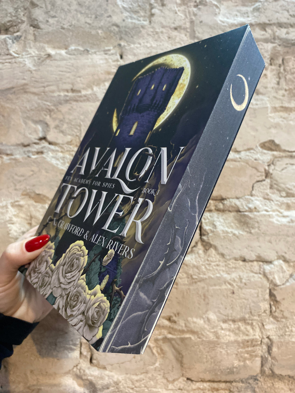 Avalon Tower by C.N. Crawford and Alex Rivers (SIGNED w/ Swag) (Book 1) *PREORDER*