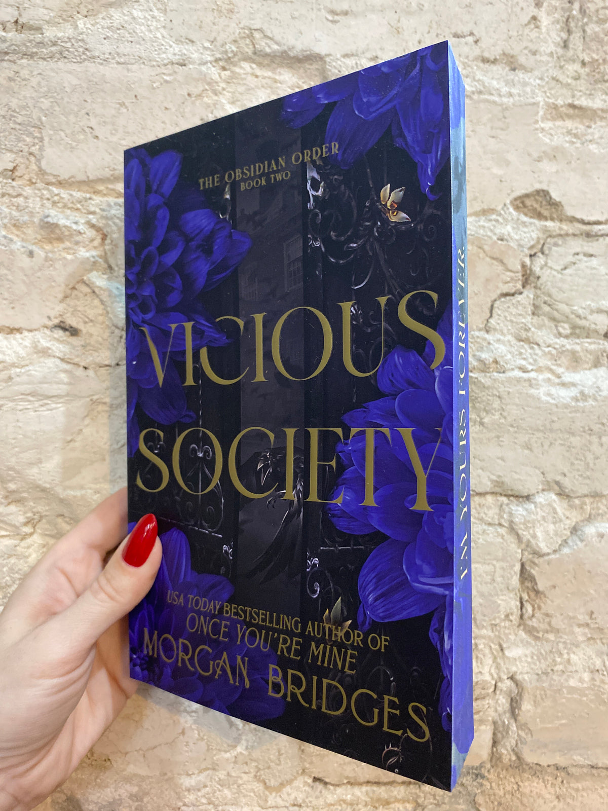 Vicious Society by Morgan Bridges (The Obsidian Order: Book 2)