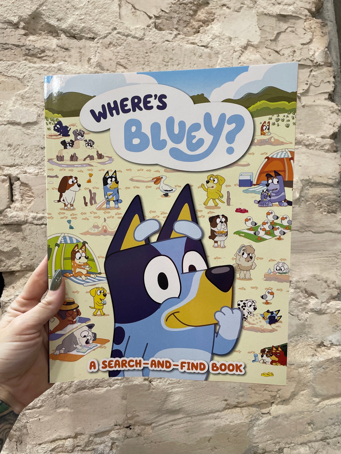 Where’s Bluey? ￼