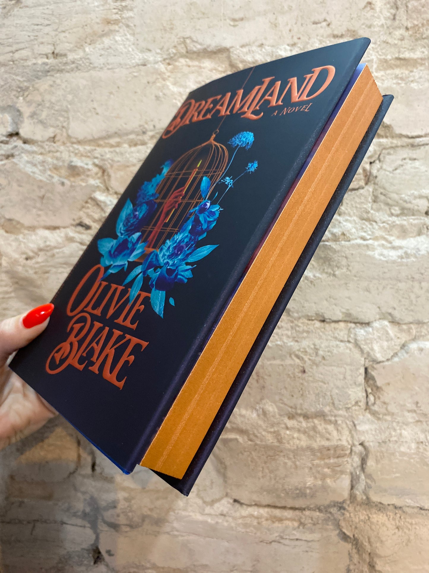 Dreamland by Olivie Blake (Deluxe Edition)