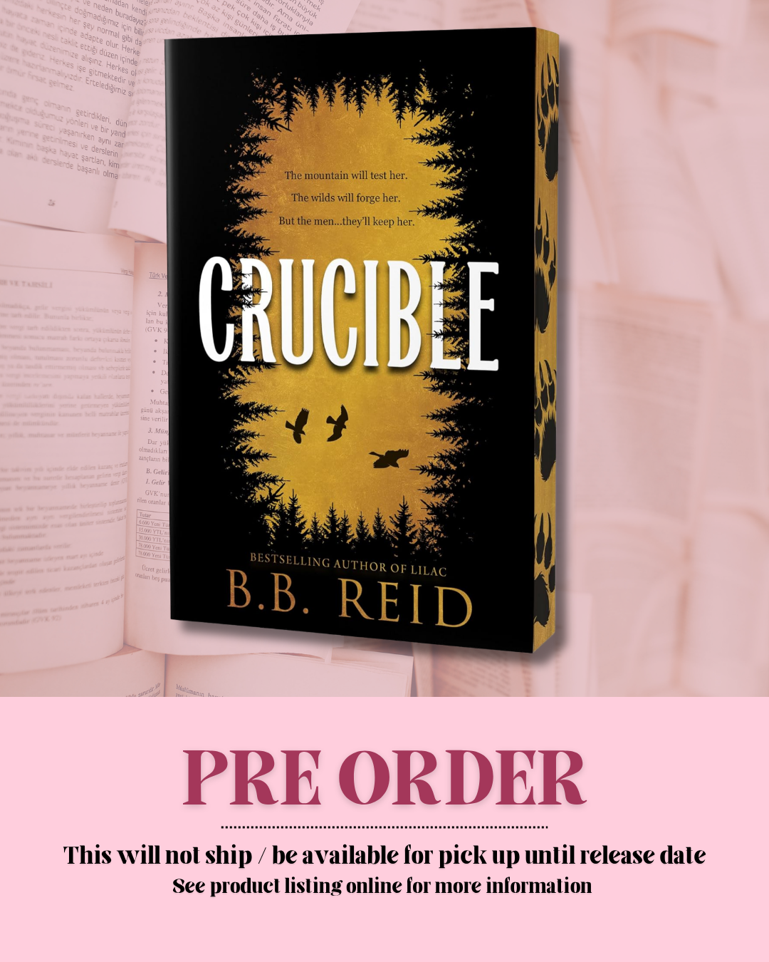 Crucible by B.B. Reid (Deluxe Edition) (Book 1) *PREORDER*