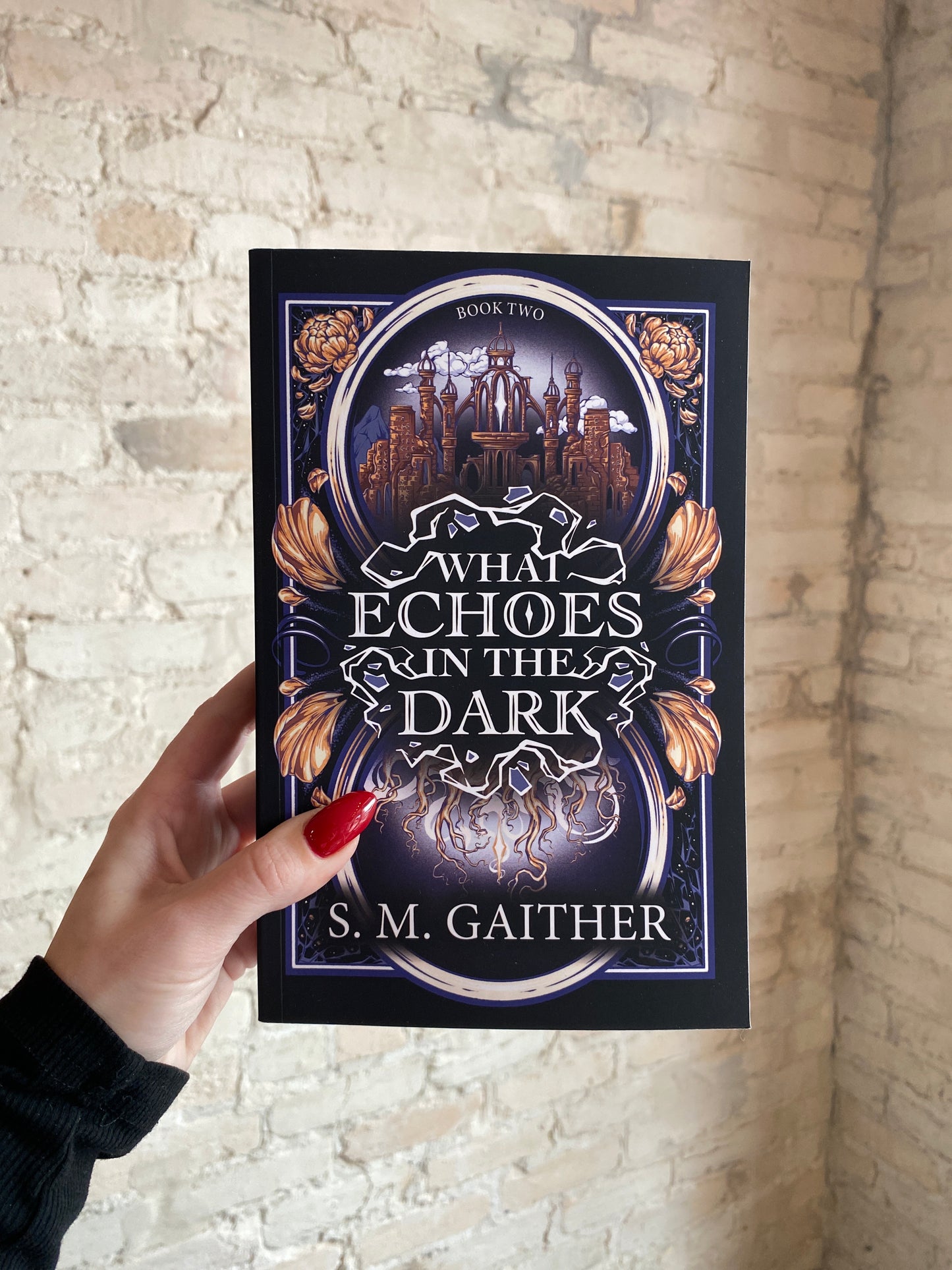 What Echoes in the Dark by S.M. Gaither