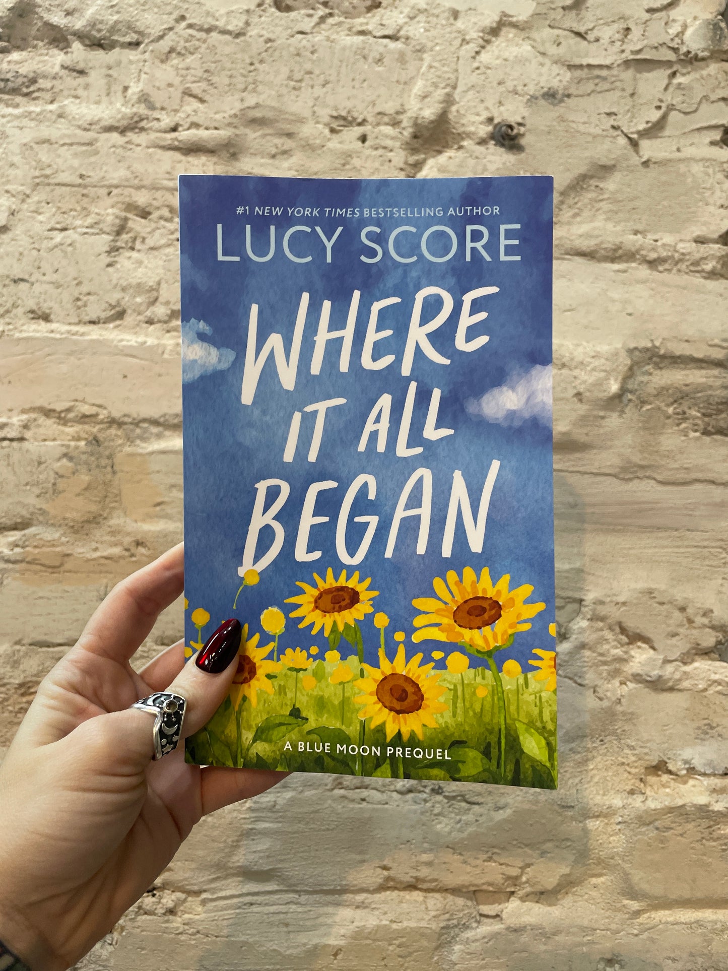 Where It All Began by Lucy Score (Book 7)
