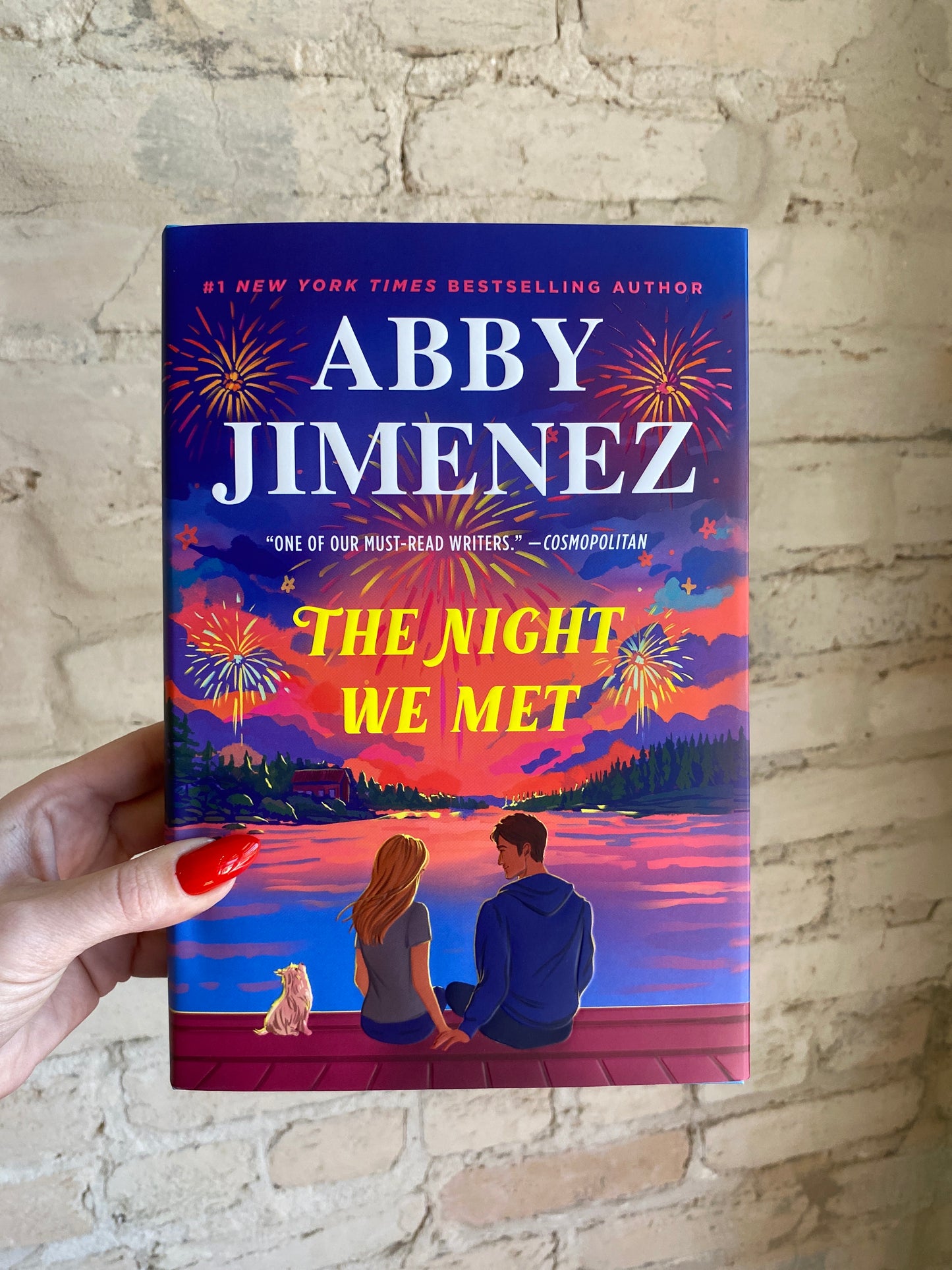 The Night We Met by Abby Jimenez (Book 2)