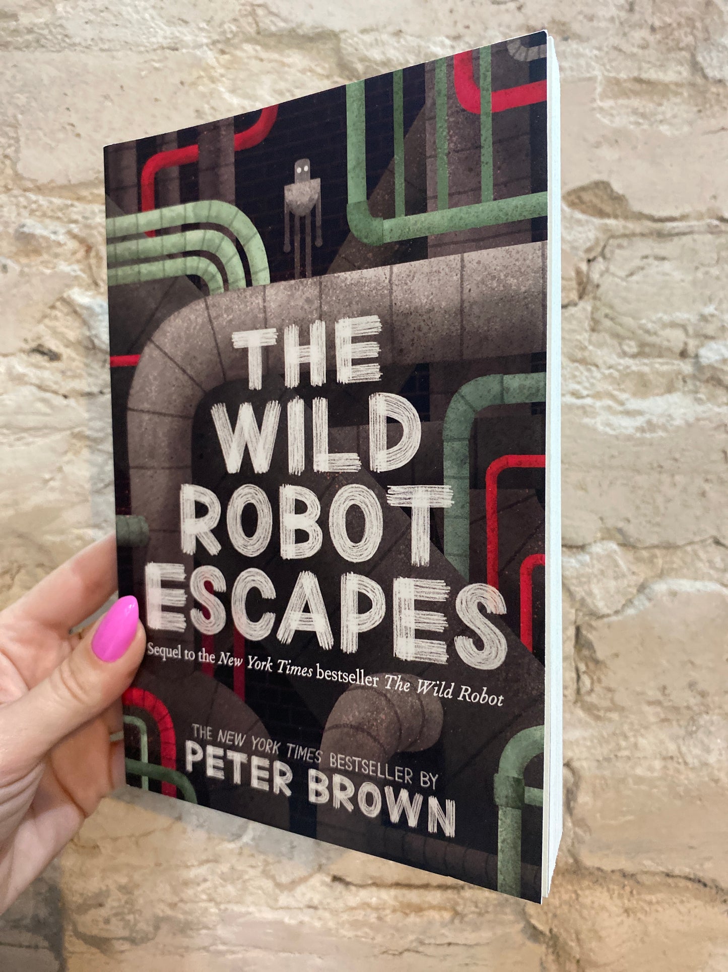 The Wild Robot Escapes by Peter Brown (Volume 2)