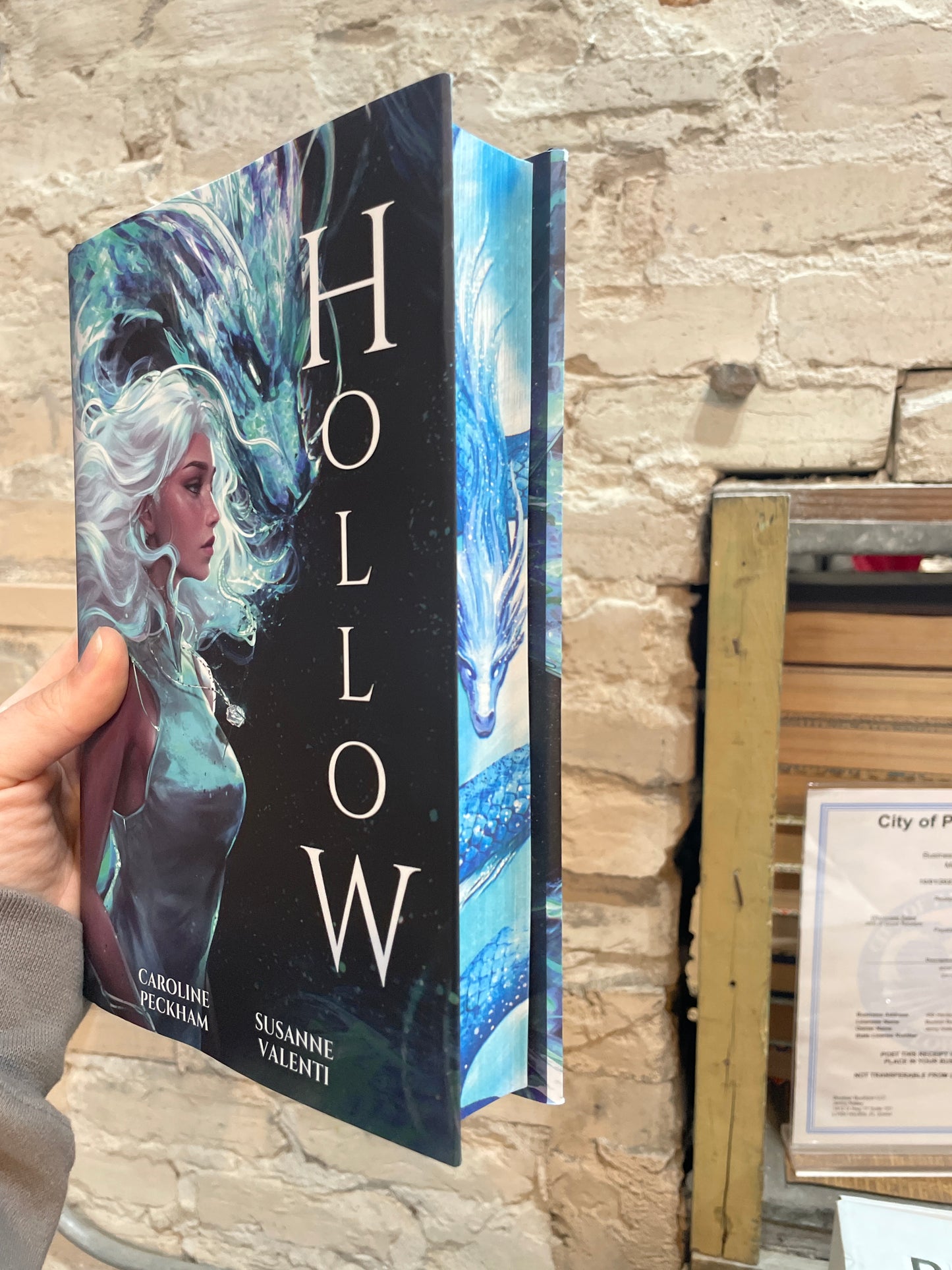 Hollow by Caroline Peckham & Susanne Valenti *DELUXE EDITION*