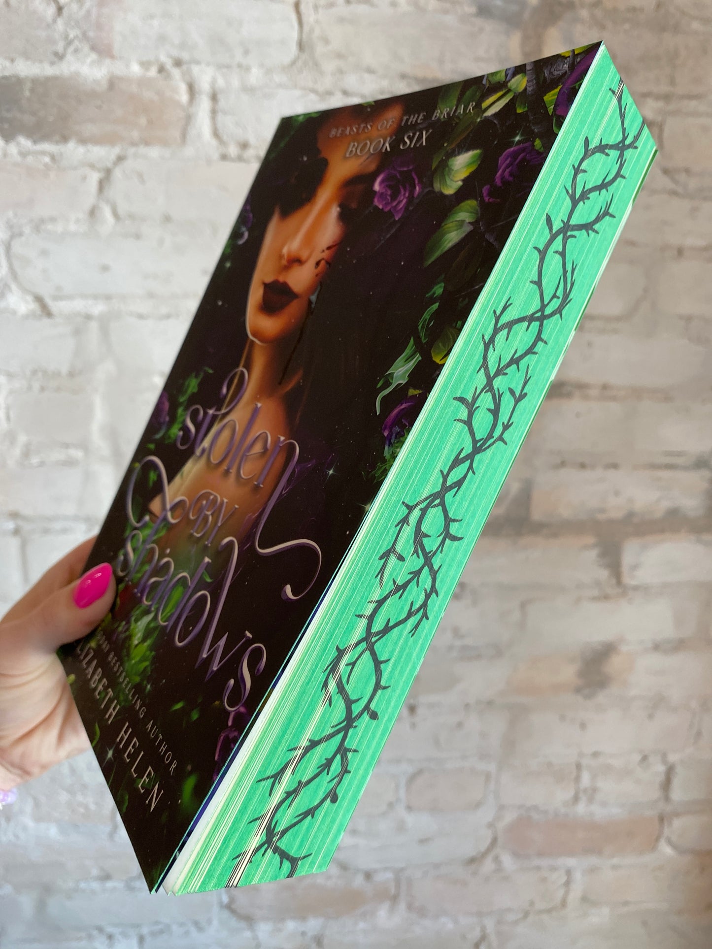 Stolen by Shadows by Elizabeth Helen (Book 6)