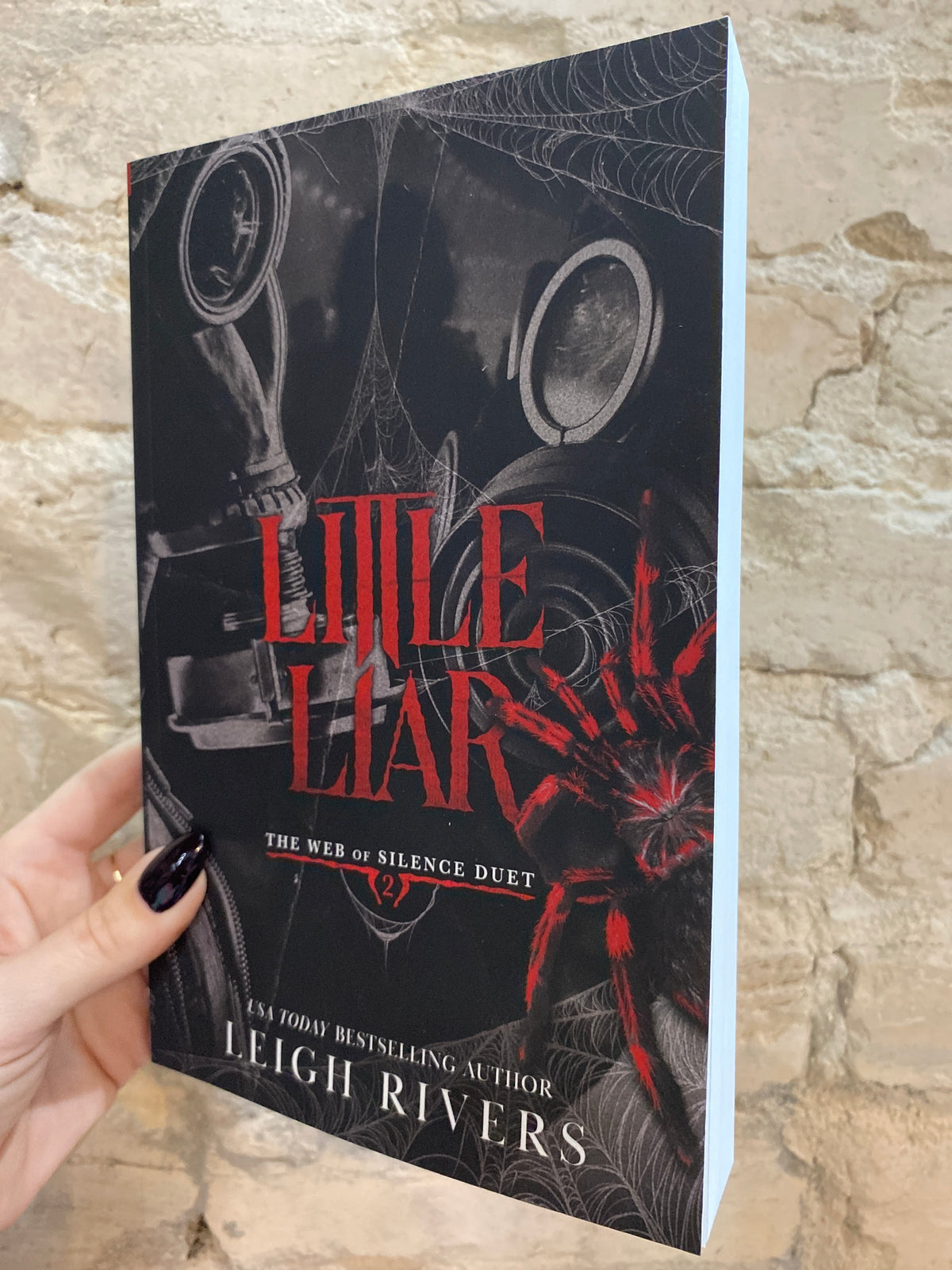 Little Liar by Leigh Rivers (The Web of Silence Duet: Book 2)
