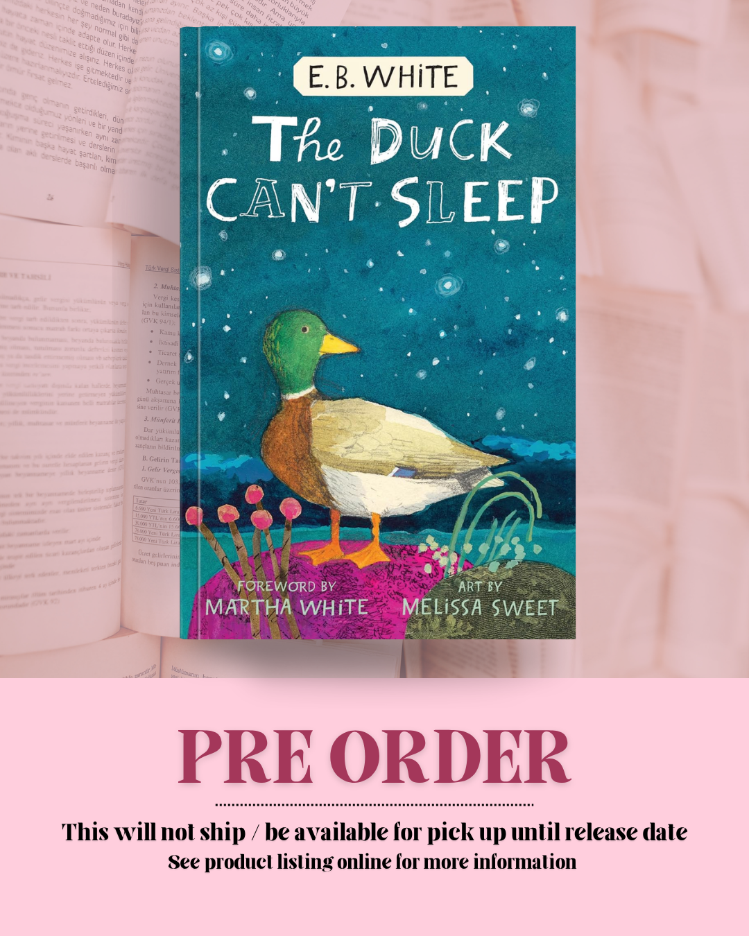 The Duck Can't Sleep by E.B. White *PREORDER*