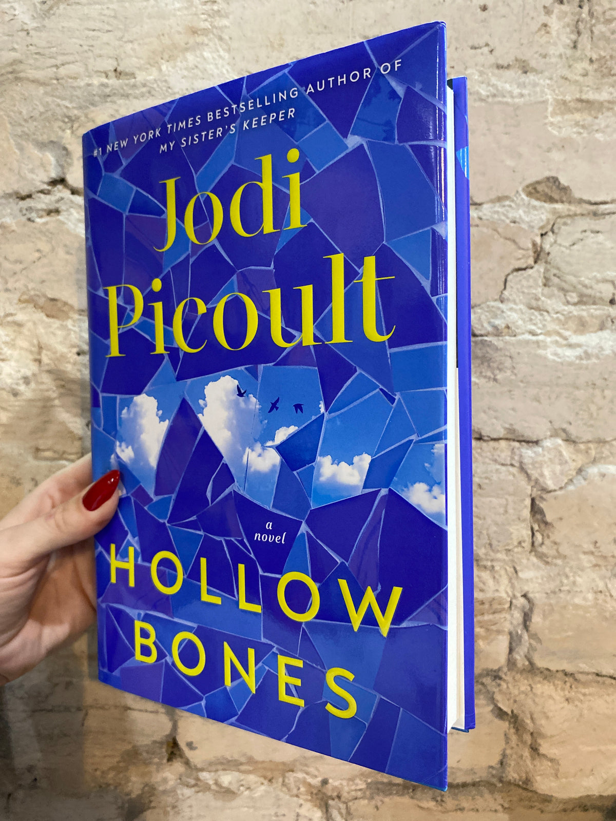 Hollow Bones by Jodi Picoult