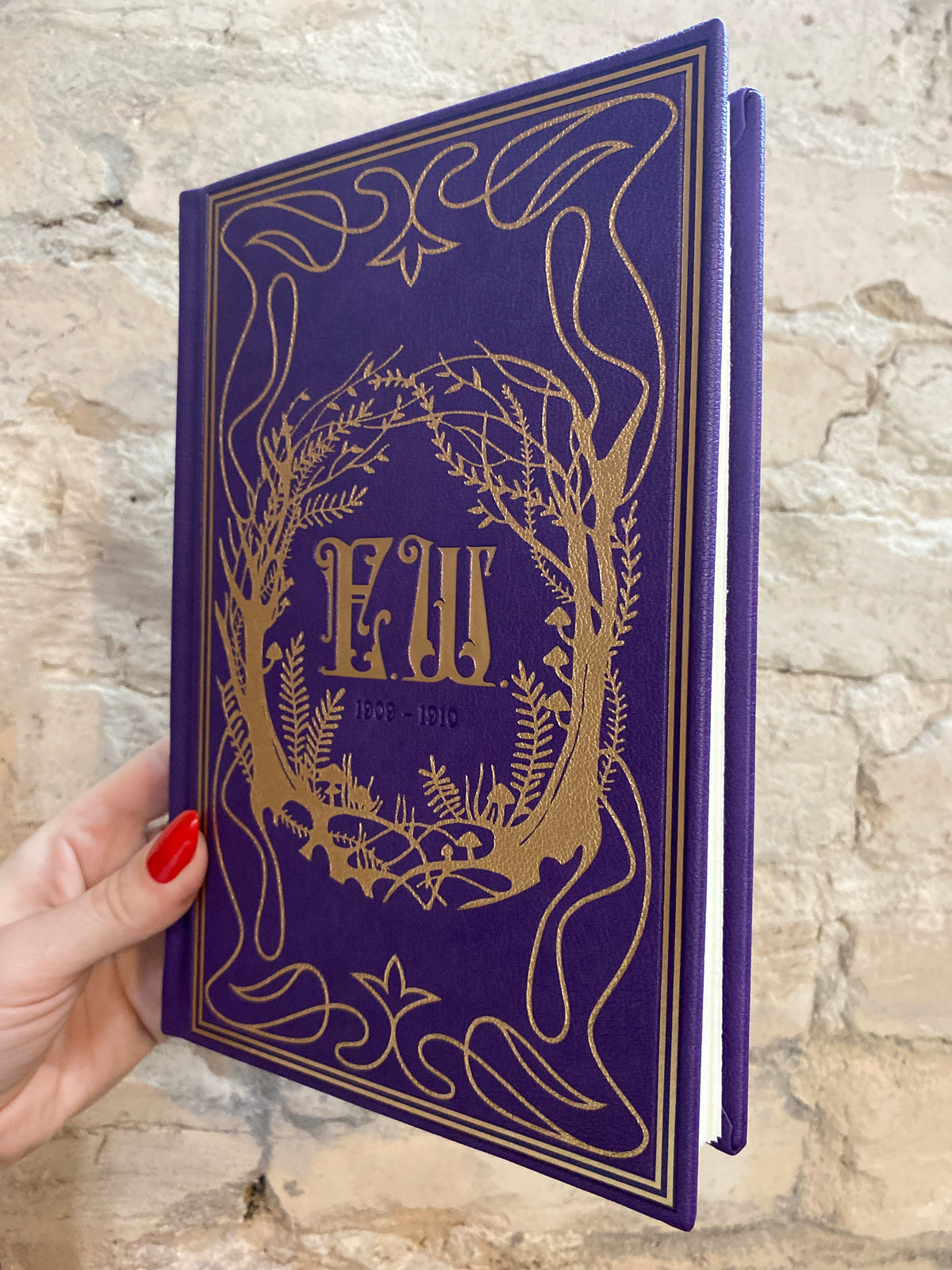 Emily Wilde’s Encyclopaedia of Faeries by Heather Fawcett (Deluxe Hardcover) *PREORDER*