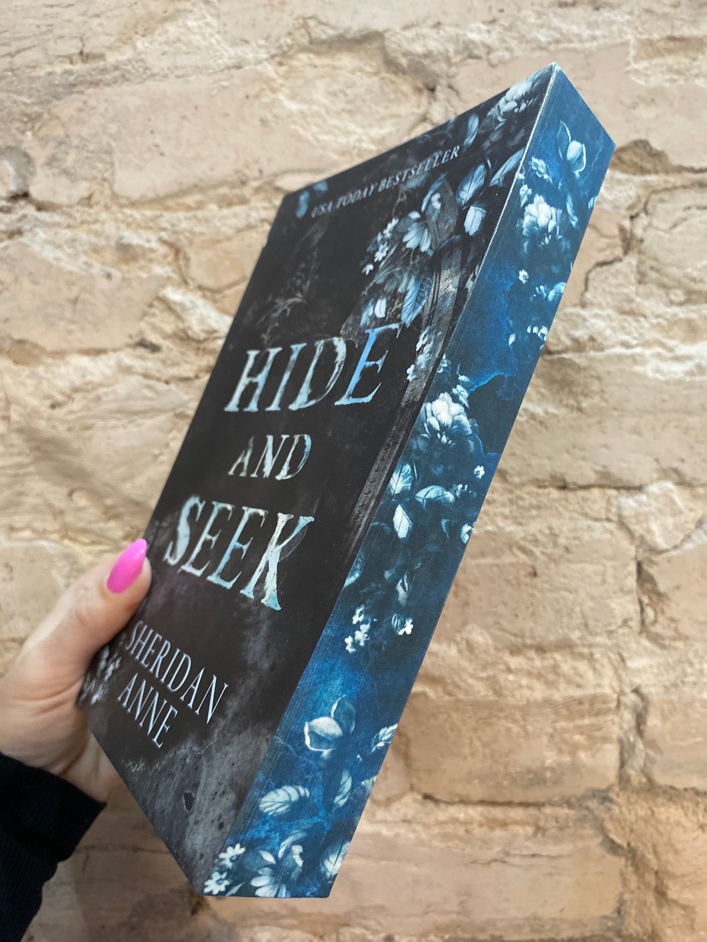 Hide and Seek by Sheridan Anne (Book 1) (Deluxe Edition)