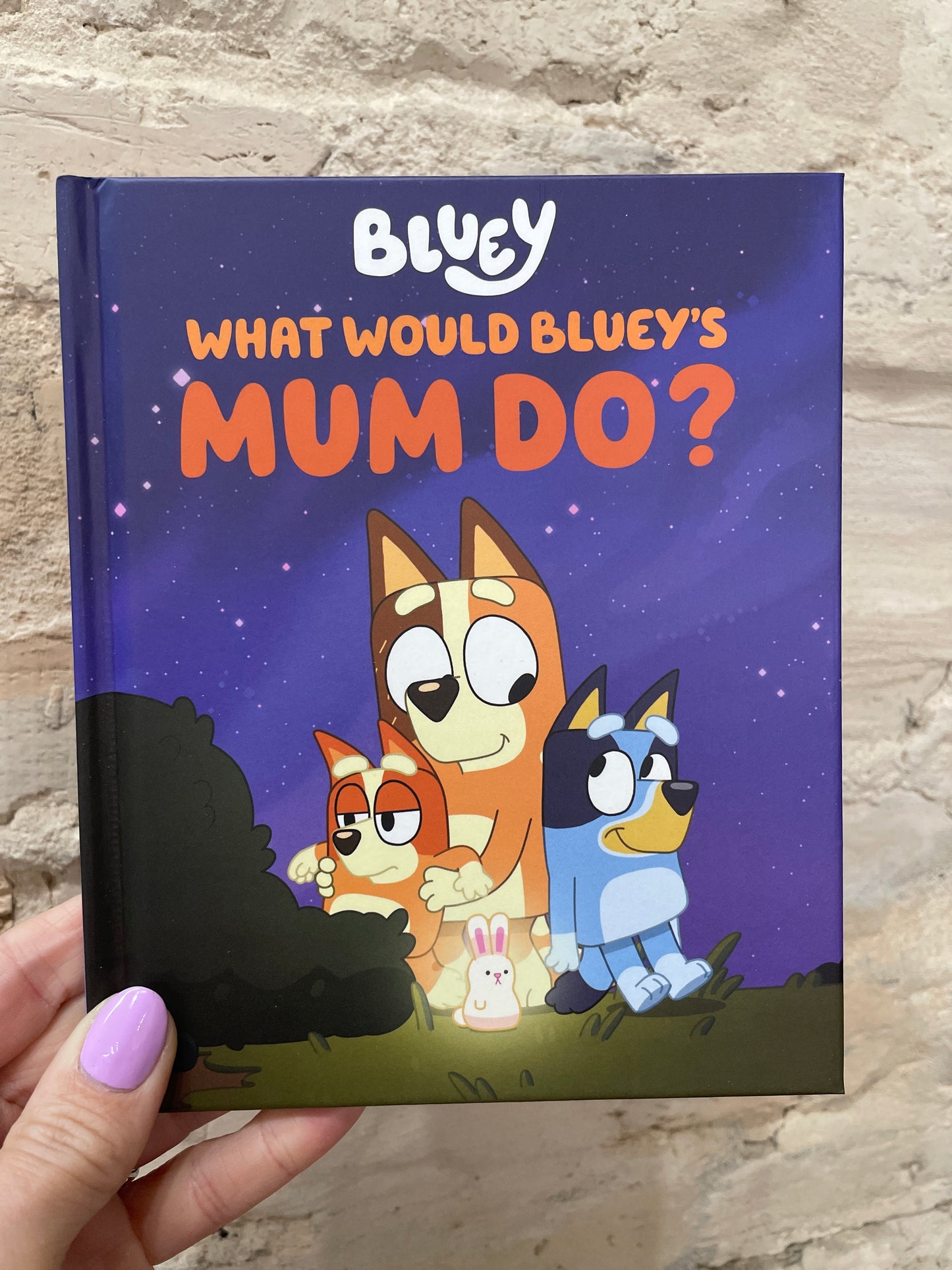 What Would Bluey’s Mum Do?