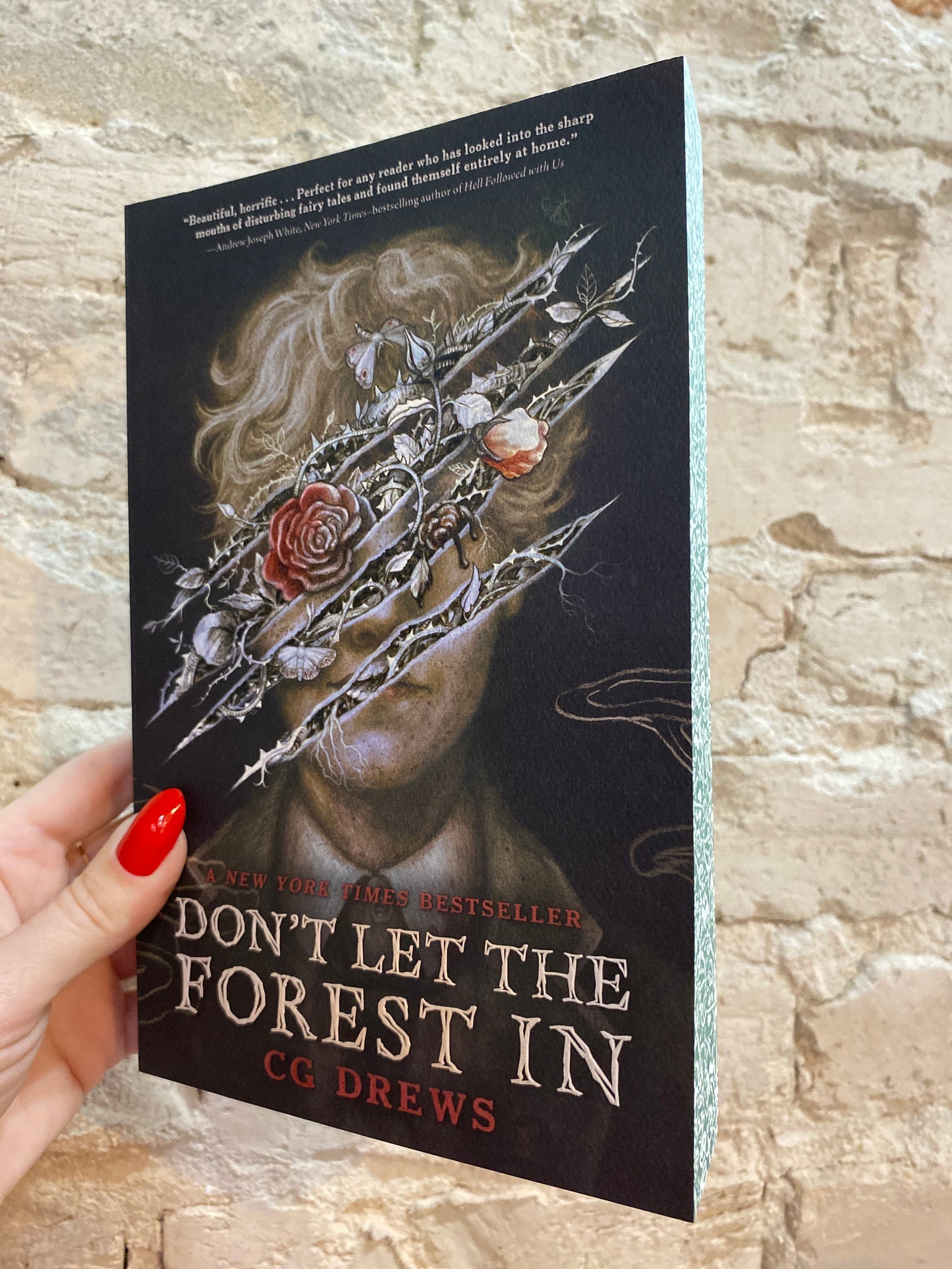 Don’t Let the Forest In by CG Drews