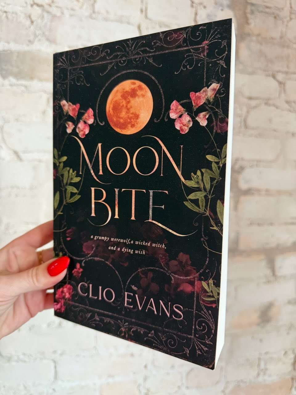 Moon Bite by Clio Evans