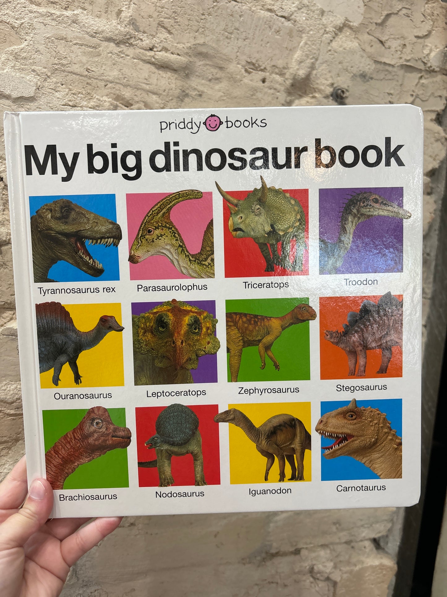 My Big Dinosaur Book