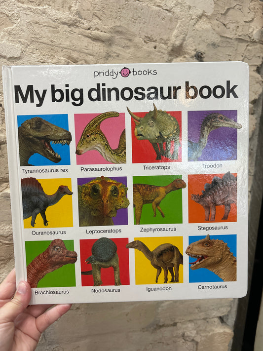 My Big Dinosaur Book