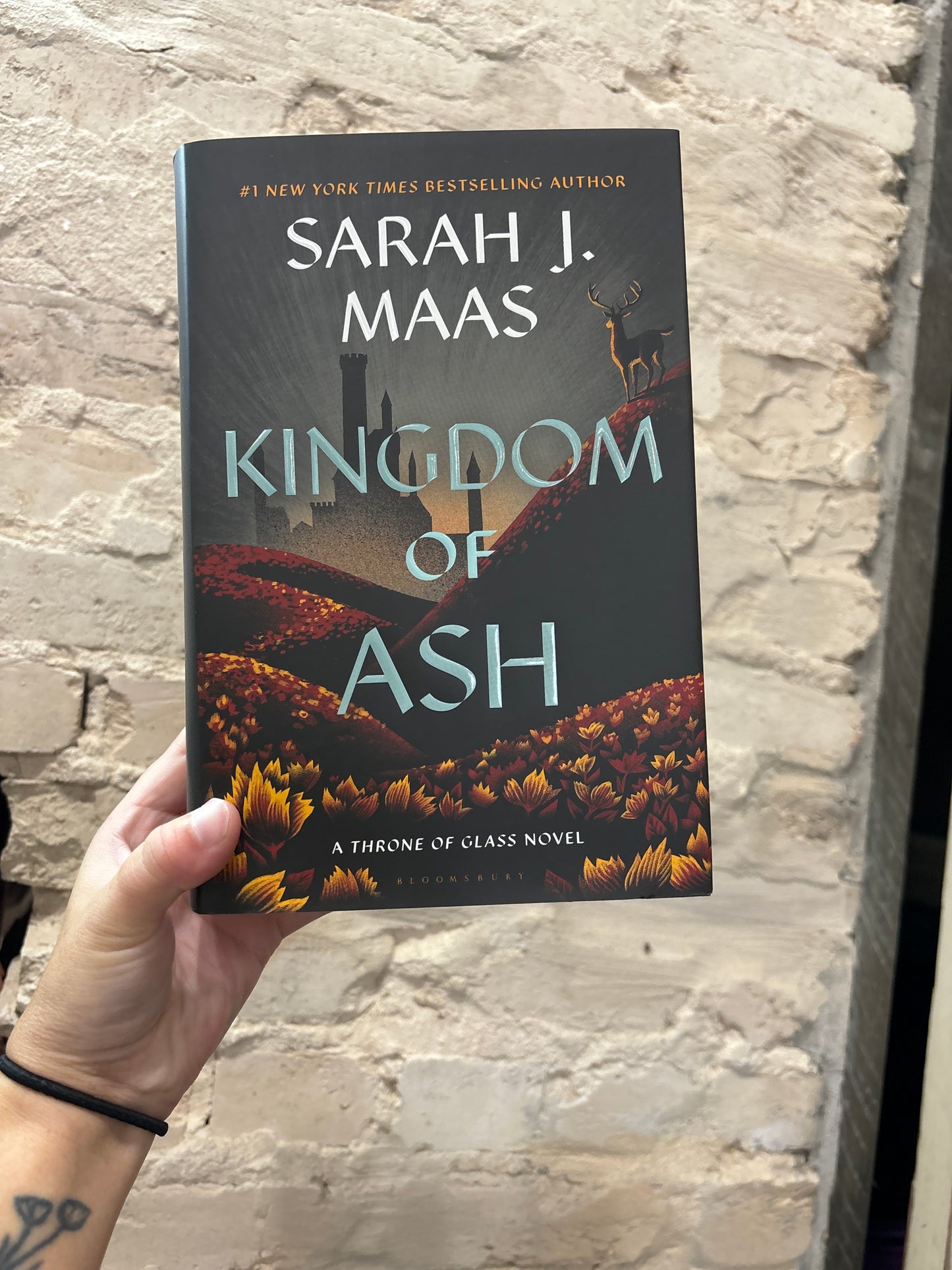 Kingdom Of Ash (hardcover)