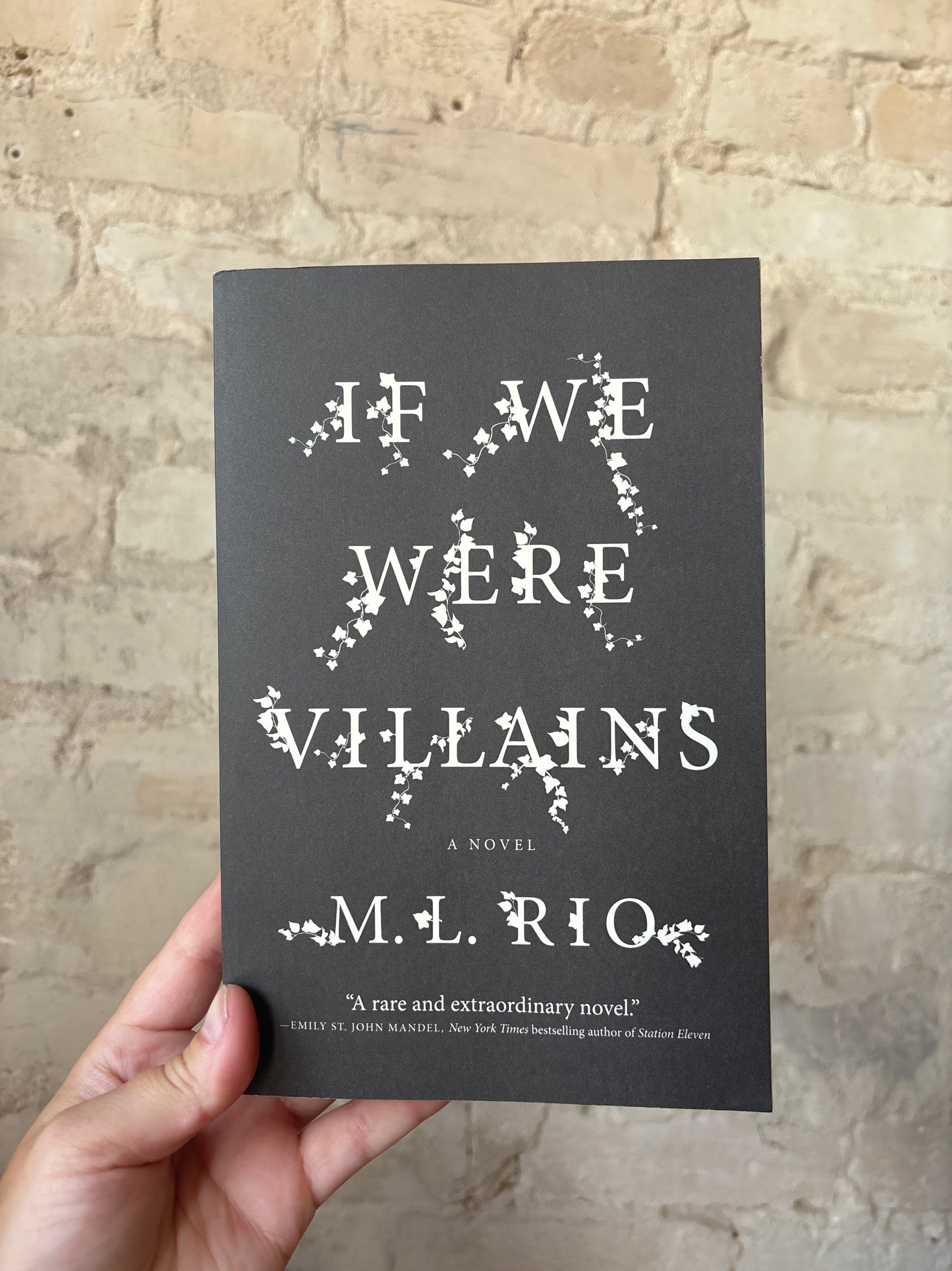 If We Were Villains