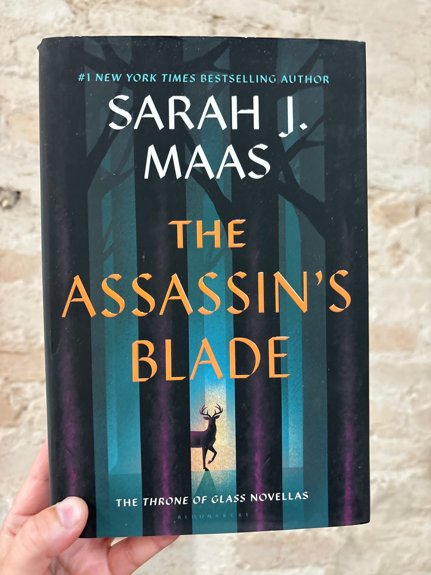 The Assassins Blade (hardcover)