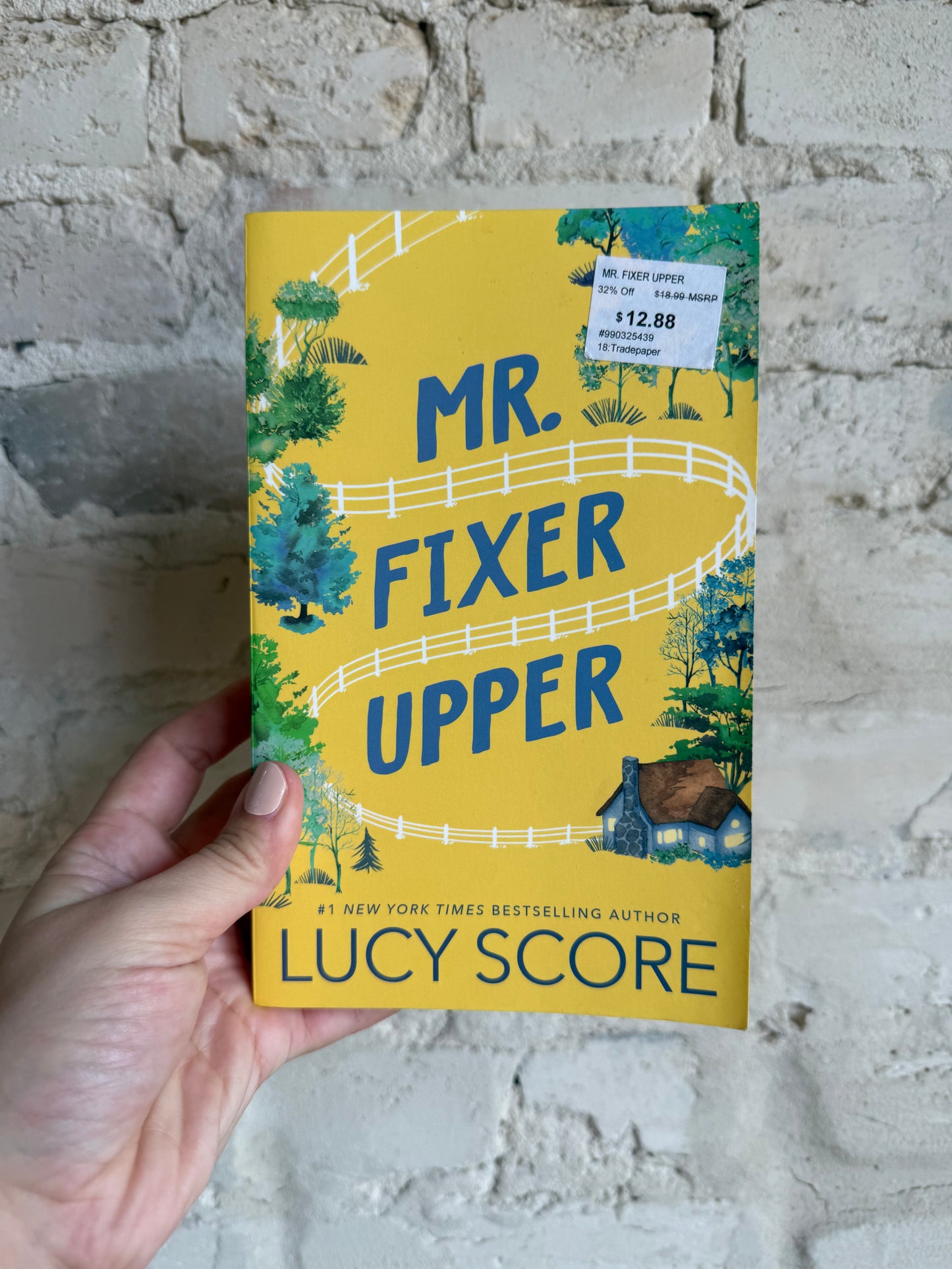 Mr. Fixer Upper