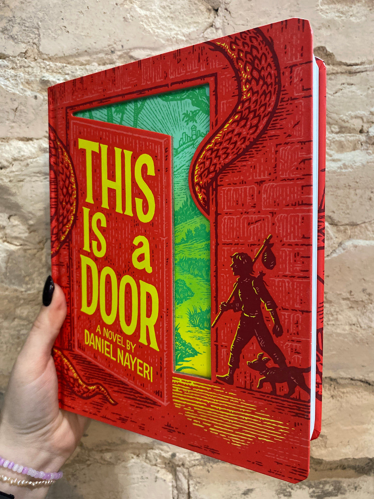 This Is A Door by Daniel Nayeri
